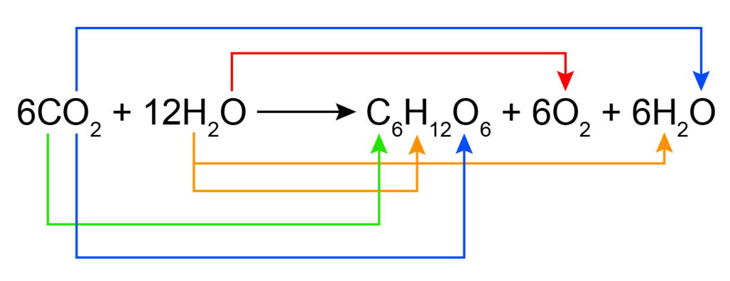 fotosentez_genel_denklem