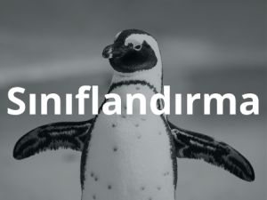 canlilarin_siniflandirilmasi