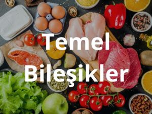 canlilarin_temel_bilesenleri