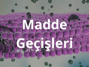 zardan_madde_gecisleri